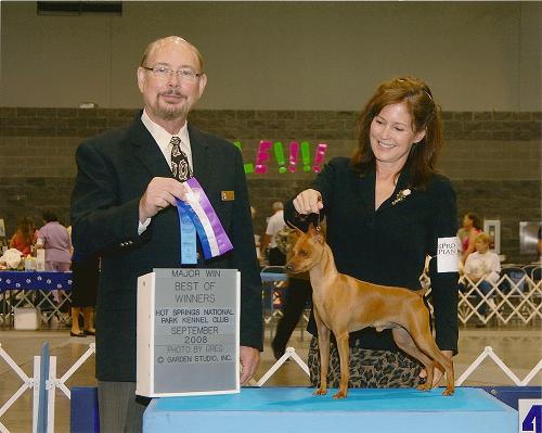 Champion Min Pins, Min Pin Puppies