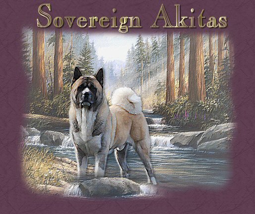 akita breeders midwest